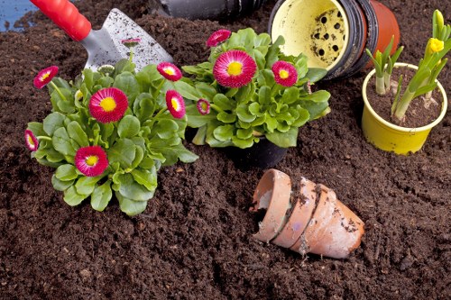 Landscaping team reviewing ethical labour standards