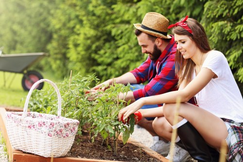 Landscaping Brentcross garden design and planting introduction