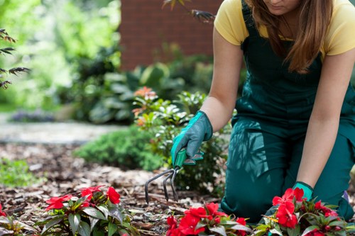 Ongoing accessibility review for landscaping Brentcross