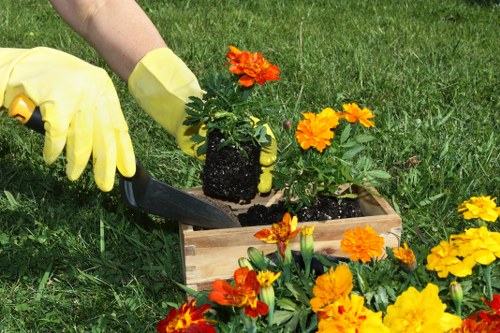 Project manager assessing a landscaping area after a complaint