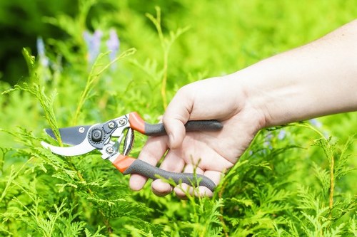 Worker reviewing safety controls during outdoor landscaping