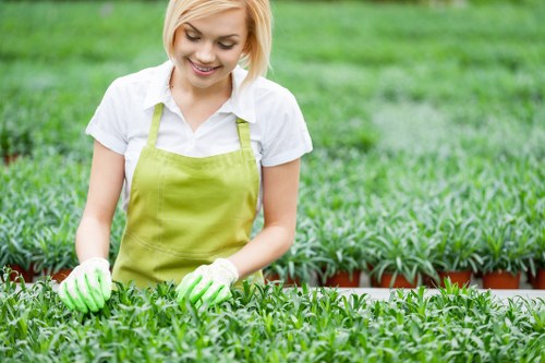 Residential soft landscaping in Brentcross with low-maintenance planting and fresh turf