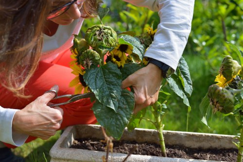 Garden landscaping site with safety planning and equipment checks